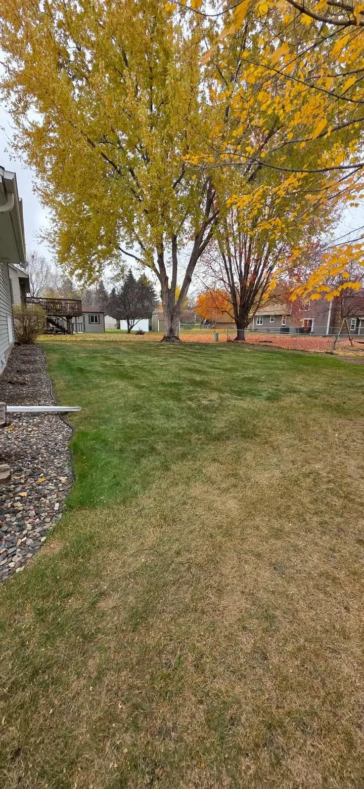 After: Yard transformation 1