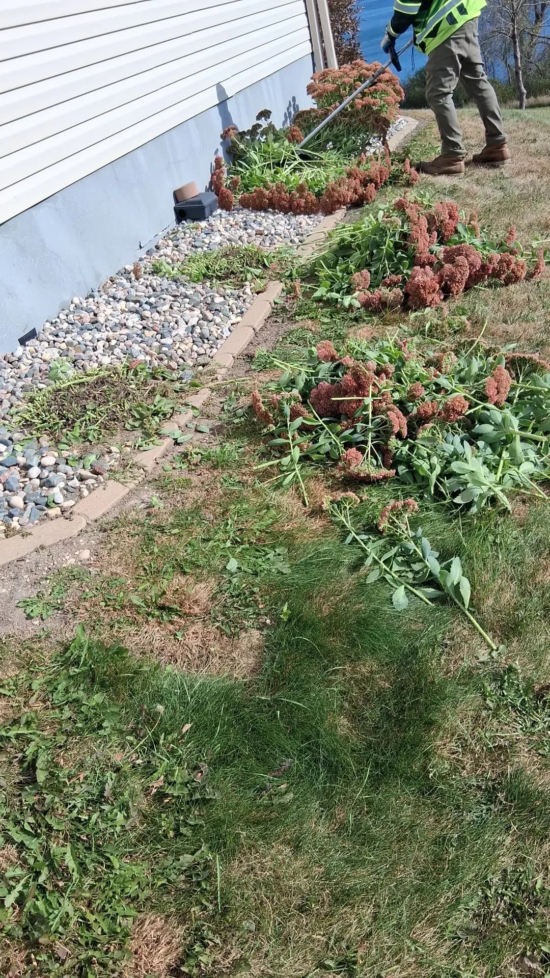 Complete Fall Lawn Preparation Guide for Minnesota